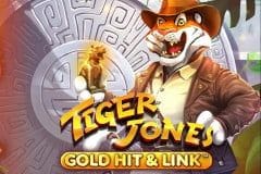 Gold Hit & Link: Tiger Jones™